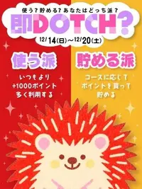 写メ日記 こゆき 12/14(日) 12:16