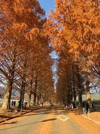 写メ日記 らら 12/16(火) 14:27