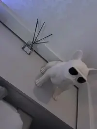 写メ日記 ゆら 12/16(火) 18:32