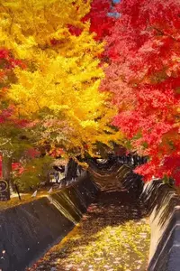 写メ日記 ここは 12/17(水) 17:03