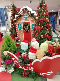 写メ日記 RISA講師 12/17(水) 23:52