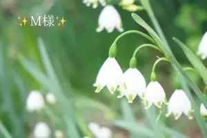 写メ日記 小山真帆 12/20(土) 09:08