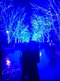 写メ日記 ちふゆ 12/25(木) 00:03