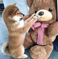 写メ日記 つかさ 12/26(金) 00:28