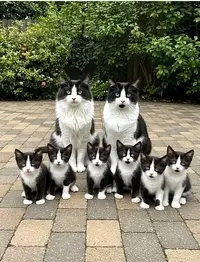 写メ日記 えま 12/26(金) 03:12