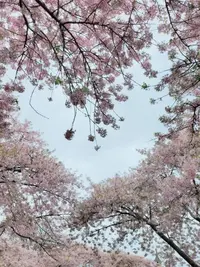 写メ日記 りな 12/26(金) 08:33