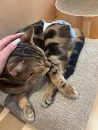 写メ日記 しいな 12/26(金) 12:17