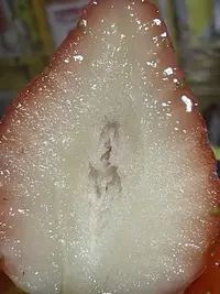 写メ日記 水瀬(みずせ） 12/26(金) 14:39