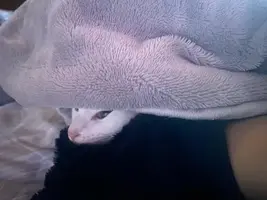 写メ日記 くいん 12/26(金) 21:46