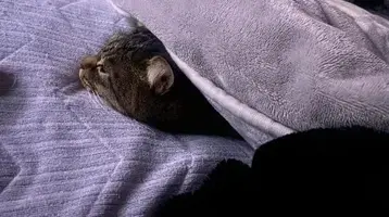 写メ日記 くいん 12/28(日) 03:07