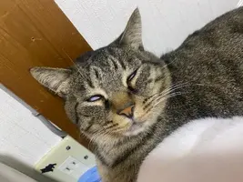 写メ日記 くいん 12/29(月) 13:01