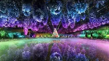 写メ日記 みわ 12/31(水) 19:24