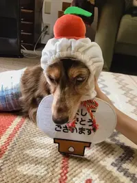 写メ日記 ちふゆ 1/2(金) 00:01