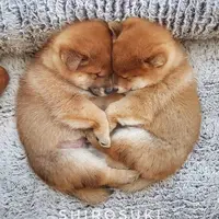 写メ日記 つかさ 1/7(水) 00:29