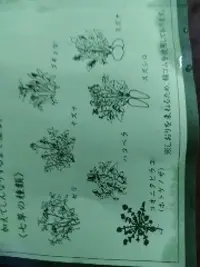 写メ日記 木佐貫あかね 1/7(水) 10:24