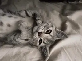 写メ日記 りえな 1/8(木) 02:48