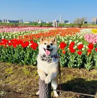 写メ日記 つかさ 1/10(土) 00:27