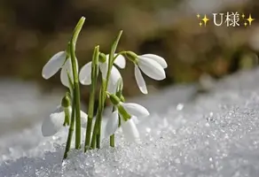 写メ日記 小山真帆 1/10(土) 22:18