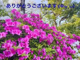 写メ日記 すみ 1/11(日) 11:23