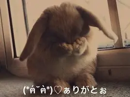 写メ日記 すみ 1/12(月) 21:34