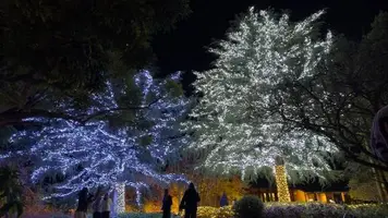 写メ日記 あおい 1/13(火) 10:05