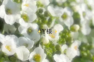 写メ日記 小山真帆 1/13(火) 10:22