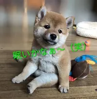 写メ日記 つかさ 1/14(水) 00:28