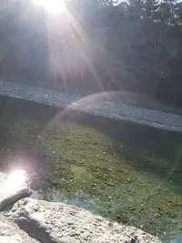 写メ日記 よしこ 1/14(水) 12:17