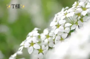 写メ日記 小山真帆 1/15(木) 23:42