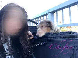 写メ日記 ちふゆ 1/19(月) 00:02