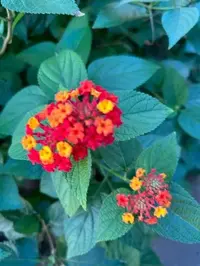 写メ日記 大島かおり 1/20(火) 09:34