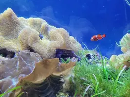 写メ日記 あかね 1/22(木) 12:58