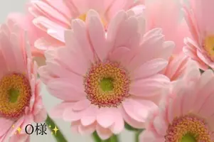 写メ日記 小山真帆 1/22(木) 17:50