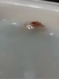 写メ日記 のの 1/22(木) 23:25