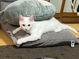 写メ日記 くいん 1/23(金) 16:47