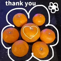 写メ日記 ありす 1/23(金) 23:31