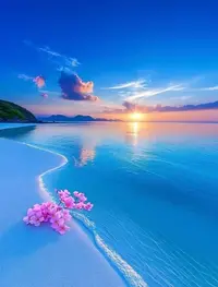 写メ日記 つかさ 1/24(土) 00:28