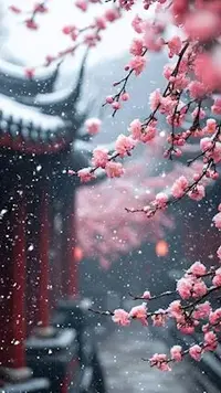 写メ日記 ともこ 1/26(月) 10:03