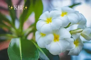 写メ日記 小山真帆 1/27(火) 21:16