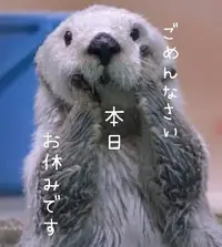 写メ日記 多田朱美 1/28(水) 07:03