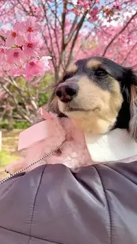 写メ日記 もえ 1/31(土) 01:32