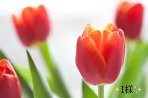 写メ日記 小山真帆 1/31(土) 19:34