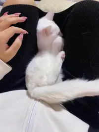 写メ日記 くいん 2/1(日) 21:37