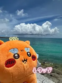 写メ日記 さらん 2/2(月) 14:43