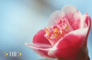 写メ日記 小山真帆 2/3(火) 20:18