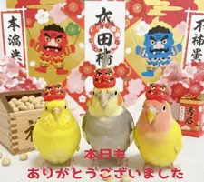 写メ日記 りんか 2/3(火) 21:02