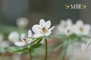 写メ日記 小山真帆 2/3(火) 21:52