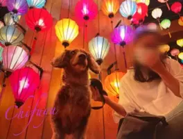 写メ日記 ちふゆ 2/4(水) 00:02