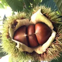 写メ日記 つかさ 2/7(土) 03:11