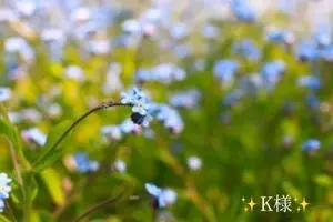 写メ日記 小山真帆 2/7(土) 19:08